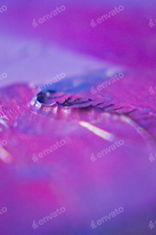 Preview: Fragment. Multicolored Texture Painting. Abstract Art Background. Oil On Canvas. Rough Brushstrokes