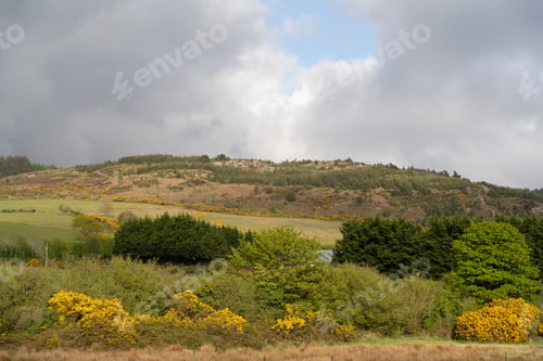Preview: A Beautiful Shot Of A Hillside With Trees In Carlingford, Ireland