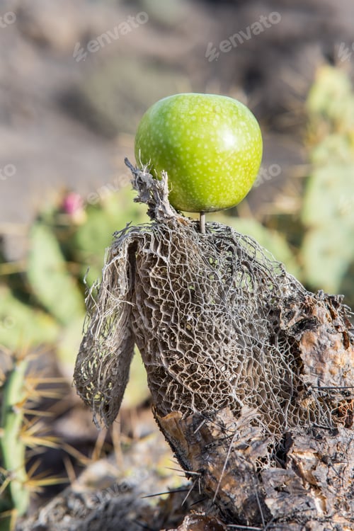 Preview: A Vertical Shot Of A Vibrant Green Apple Out In The Sun, Set On A Wooden Log Covered By Thorny Twigs