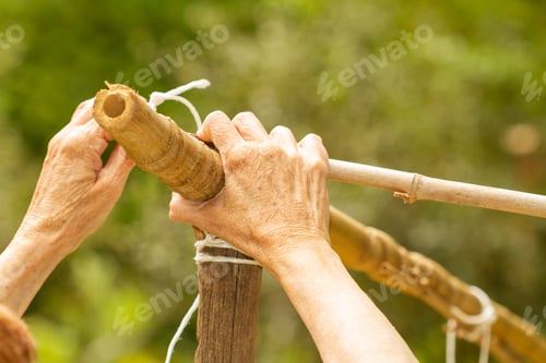 Preview: A Selective Focus Shot Of A Female Gardener'S Hands Working With Wooden Sticks In A Vegetable Garden