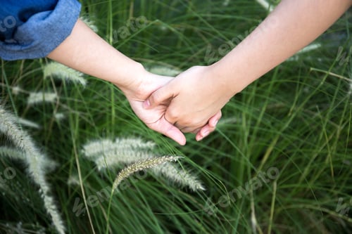 Preview: Young Romantic Lovers Holding Hands On Grass Flowers Field