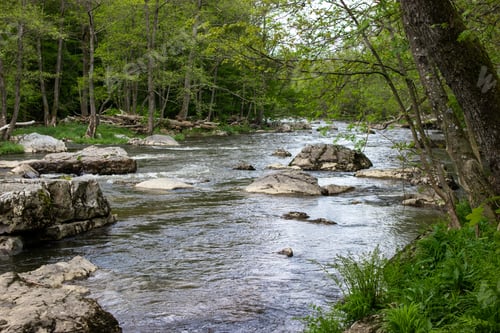 Preview: A Beautiful View Of A River Filled With Rocks In A Forest
