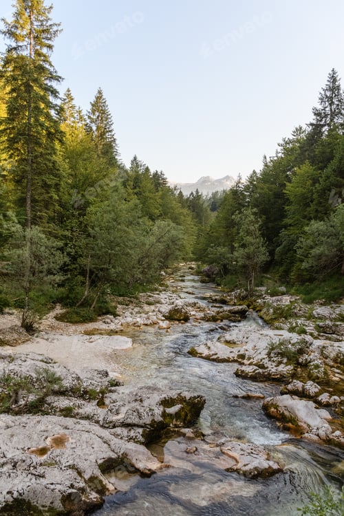 Preview: A Vertical Shot Of A Creek In A Forest