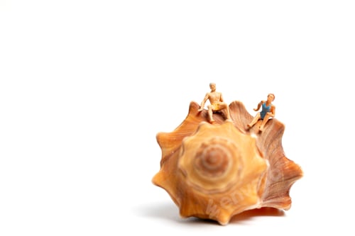 Preview: Miniature People Miniature People Wearing Swimsuit Relaxing On Seashells On White Background