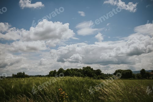 Preview: A Green Field In The Countryside