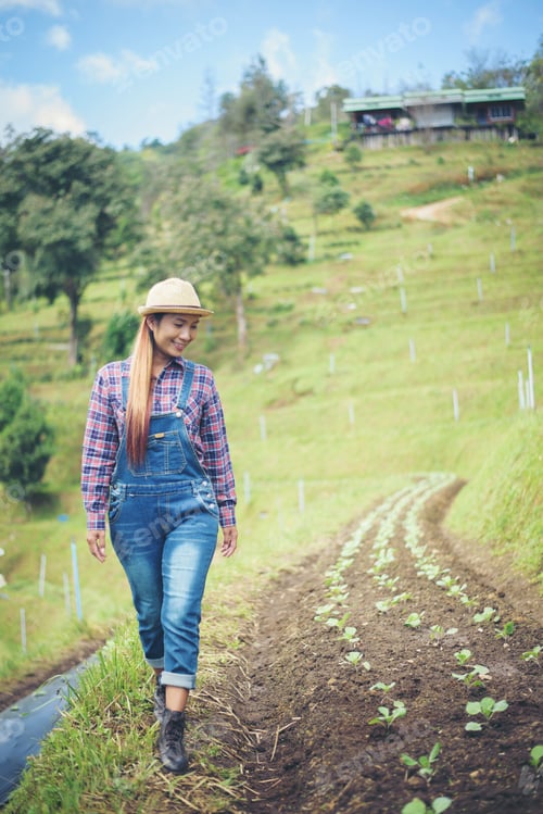 Preview: Farmer Woman Planting Trees In The Garden