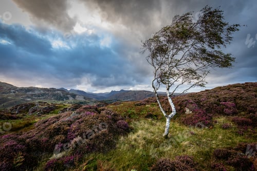 Preview: A Mesmerizing View Of A Beautiful Mountainous Landscape Under A Cloudy Sky