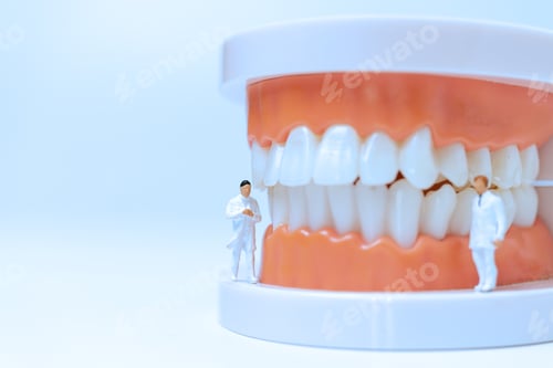 Preview: Miniature People : Dentist Observing And Discussing About Human Teeth With Gums