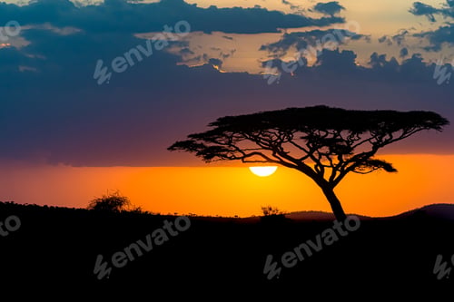 Preview: The Mesmerizing View Of The Silhouette Of A Tree In The Savanna Plains During Sunset
