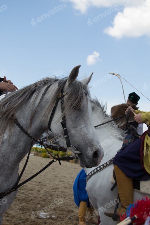 Preview: A Vertical Shot Of Harnessed White Horses Carrying People