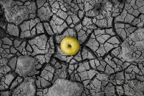 Preview: A Top View Of A Green Apple On A Dry, Cracked Stone Background