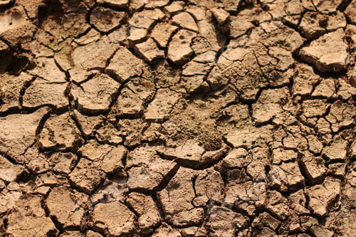 Preview: A Closeup Of The Cracked Dry Ground Under The Sunlight - Great For Wallpapers And Textures