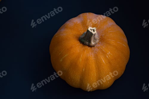 Preview: A Closeup Shot Of A Small Pumpkin Isolated On Black Background