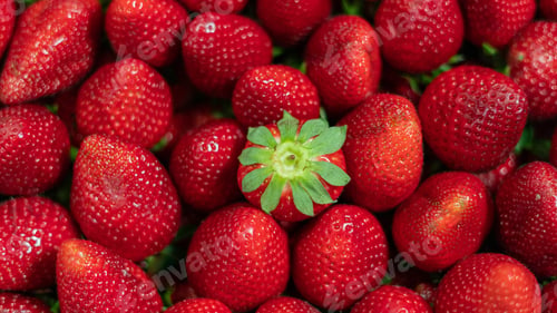 Preview: A Closeup Of Tasty Strawberries