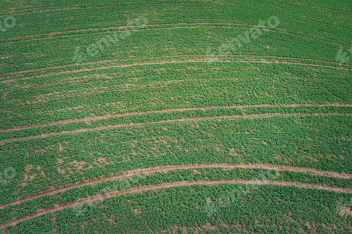 Preview: A Horizontal Background Of A Green Grassy Field With Abstract Tractor Traces