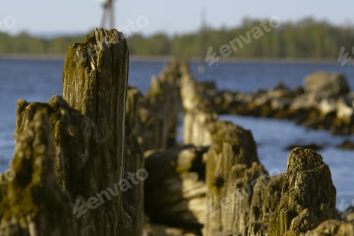 Preview: A Closeup Of Mossy Rocks In A Water