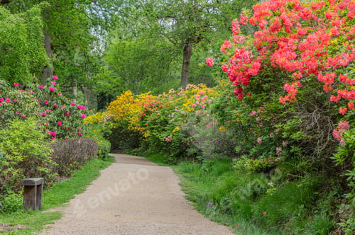 Preview: A Narrow Footpath In The Beautiful Garden With Colorful Flowers