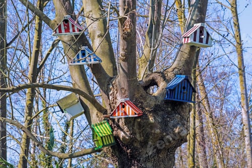 Preview: The Colorful Birdhouses On The Bare Branches Of The Tree With The Blue Sky In The Background