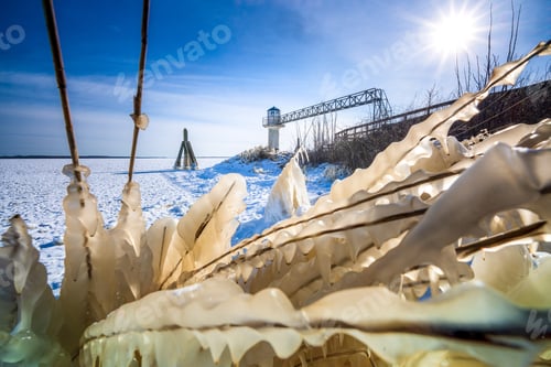 Preview: Ice-Covered Plants In Freezing Lakeshore In Winter Chilly Winter Afternoon At Seaside Promenade