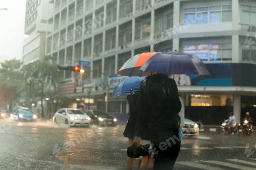 Preview: Group Of People With Umbrella Crossing The Road In Rain Storm