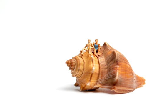 Preview: Miniature People Miniature People Wearing Swimsuit Relaxing On Seashells On White Background