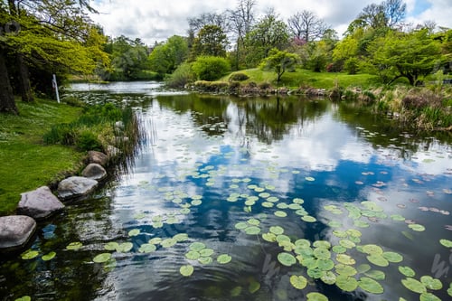 Preview: A Lake With The Reflection Of Clouds In A Park Surrounded By A Lot Of Green Trees