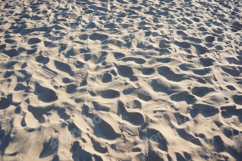 Preview: The Bare Footsteps On The Sand On A Beach