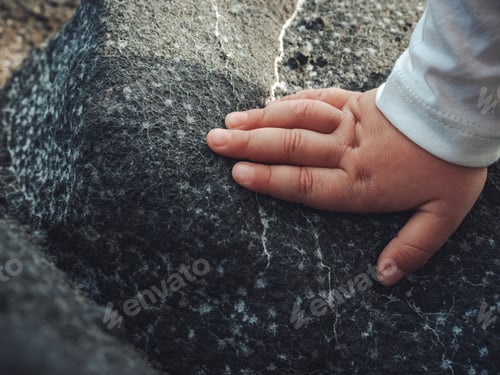 Preview: A Closeup Shot Of A Child'S Hand On The Rock