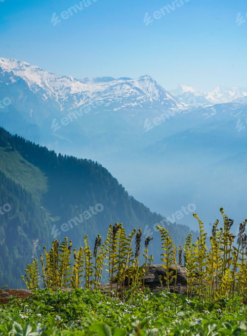 Preview: The Beautiful View Of The Mountains On A Sunny Day