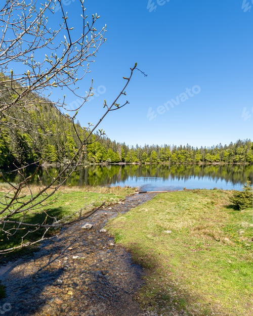 Preview: A Vertical Shot Of The Feldbergsee Lake Captured Near The Black Forest In Germany