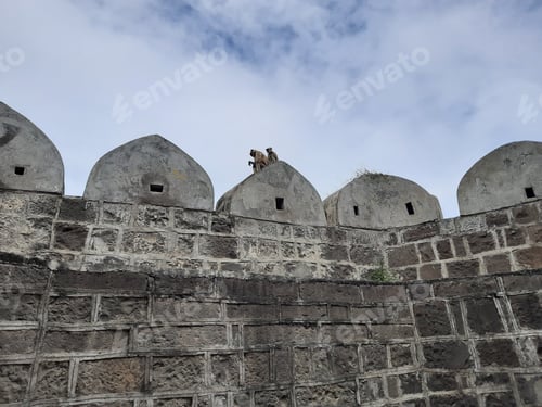 Preview: A Beautiful View Of Monkeys On The Stone Wall Under The Cloudy Sky