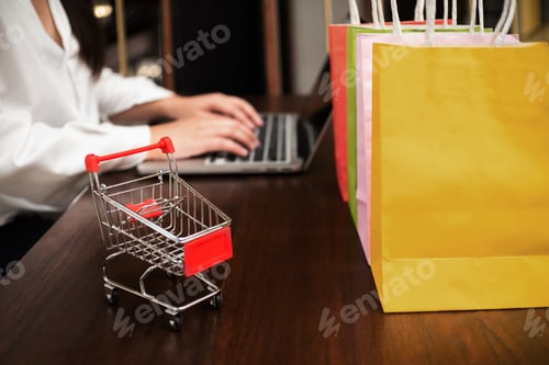 Preview: Young Women With A Small Shopping Trolley And Using Laptop, Online Payment And Marketing Concept