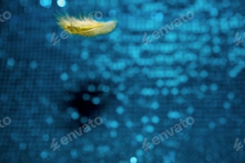 Preview: A Selective Focus Of A Yellow Feather On Blue Sequin Fabric