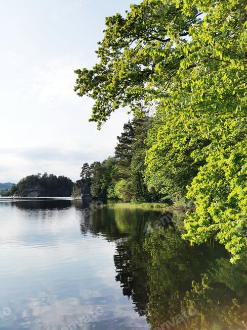 Preview: A Vertical Shot Of A Beautiful Lake Surrounded By Nature In Larvik, Norway
