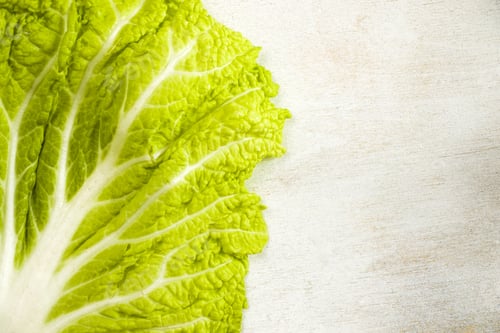 Preview: A Closeup Shot Of The Details On A Chinese Napa Cabbage Leaf
