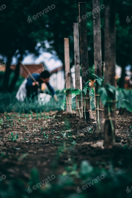 Preview: A Vertical Shot Of A Female Working In A Garden On A Sunny Day