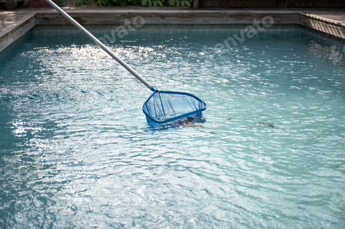 Preview: Cleaning Swimming Pool Of Fallen Leaves With Blue Skimmer Net In Summer
