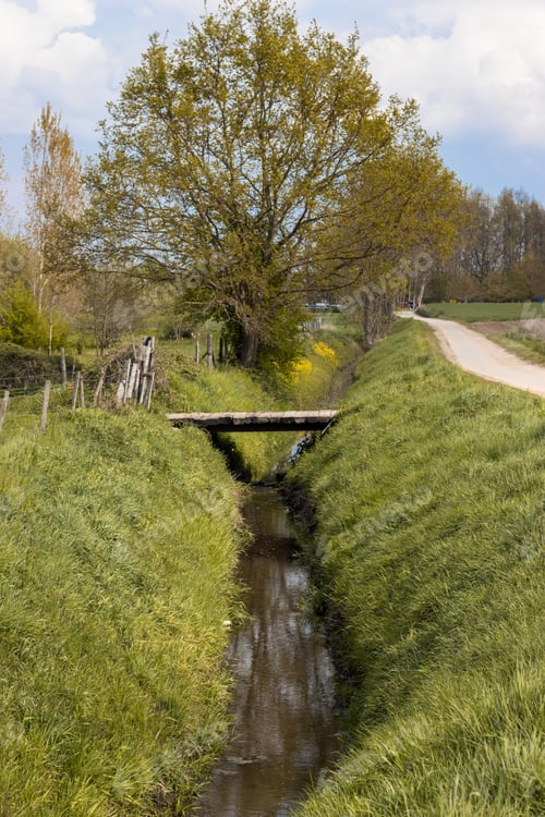 Preview: A Vertical Shot Of A Small Wooden Bridge Above A Water Stream In The Forest