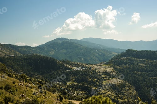 Preview: A Beautiful Shot Of Sunny Hills Covered By Trees With The Buildings Of A Small Town On It