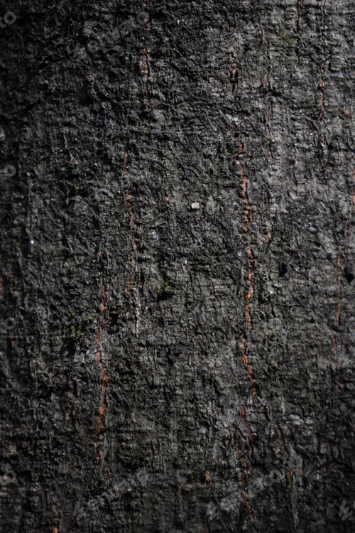 Preview: A Vertical Shot Of The Textures And Patterns Of A Black Rough Surfac