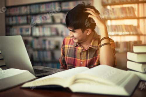 Preview: The Young Man Is Studying For Knowledge In The Library