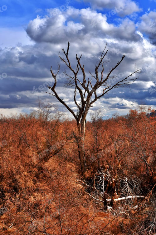 Preview: A Winter Landscape In The Southwest With Storm Clouds Moving In