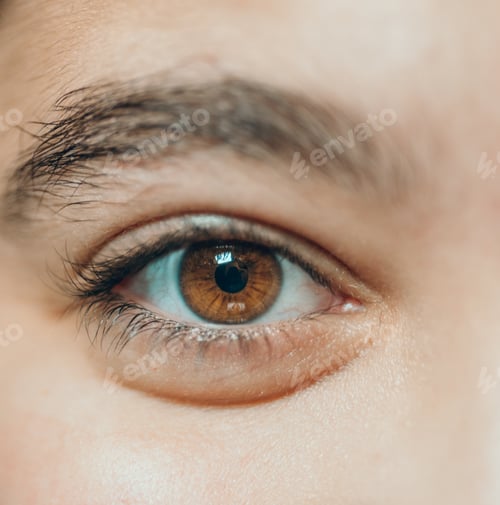 Preview: A Selective Focus Shot Of A Brown Eye Of A Person