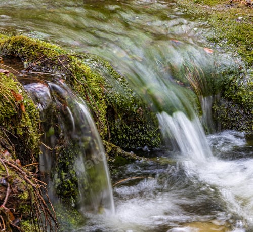 Preview: A Fast Creek Streaming In The Autumn Forest