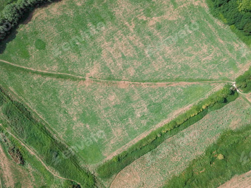 Preview: The Drone View Of The Landscape Near Teddy Bear Woods, Weymouth, Dorset