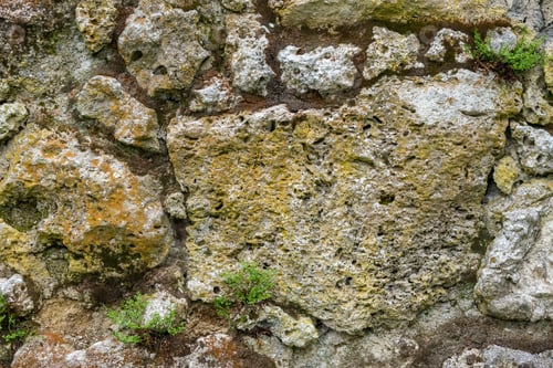 Preview: A Closeup Shot Of An Old Stone Wall With Small Plants - For Backgrounds And Textures