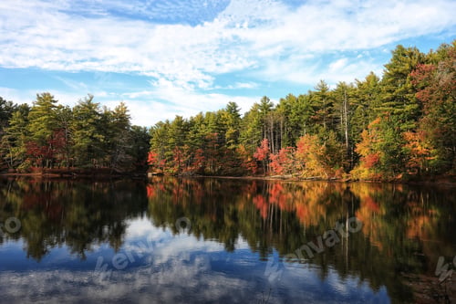Preview: A Landscape Of A Lake Surrounded By Trees Under The Sunlight And A Blue Cloudy Sky In Autumn