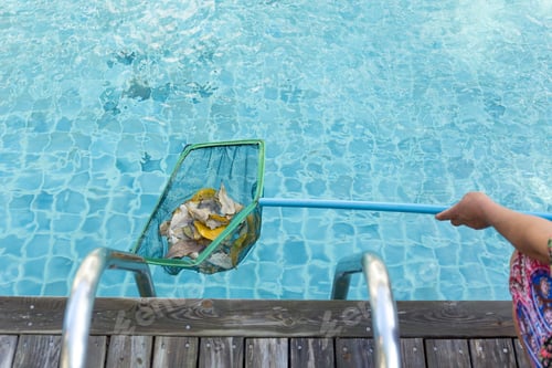 Preview: Woman Cleaning Swimming Pool Of Fall Leaves With Cleaning Net In The Morning
