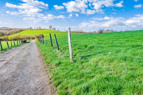 Preview: A Path Through A Vast Green Valley During A Sunny Day