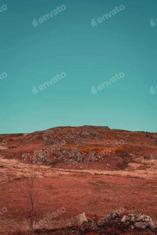 Preview: A Vertical Shot Of A Bright Red Dry Meadow On A Hillside
